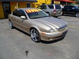 2005 Jaguar X-Type Topaz Metallic