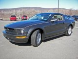2008 Alloy Metallic Ford Mustang V6 Premium Coupe #4686930