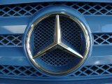 2011 Mercedes-Benz Sprinter 2500 Passenger Conversion Marks and Logos