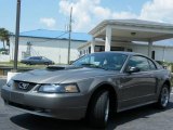 2002 Mineral Grey Metallic Ford Mustang GT Coupe #442056