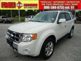 2010 White Suede Ford Escape Limited V6 #47292524