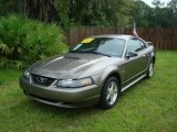 2002 Mineral Grey Metallic Ford Mustang V6 Coupe #443286