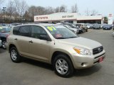 2007 Savannah Metallic Toyota RAV4 4WD #47350718