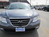 2009 Willow Gray Hyundai Sonata Limited V6 #47402414