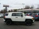 2008 Iceberg White Toyota FJ Cruiser Trail Teams Special Edition 4WD #47402154