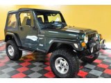 2002 Shale Green Metallic Jeep Wrangler Sport 4x4 #47445496