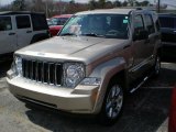 2011 Light Sandstone Metallic Jeep Liberty Limited 4x4 #47498784