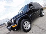 2003 Black Clearcoat Jeep Liberty Limited 4x4 #47498810