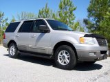 2003 Silver Birch Metallic Ford Expedition XLT #47499198