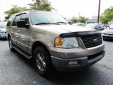 2003 Arizona Beige Metallic Ford Expedition XLT #47498819