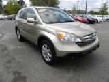 2007 Borrego Beige Metallic Honda CR-V EX-L #47499072