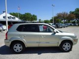 Desert Sage Hyundai Tucson in 2008