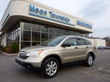 2007 Borrego Beige Metallic Honda CR-V EX 4WD #47539250