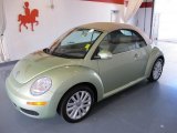 2008 Volkswagen New Beetle SE Convertible