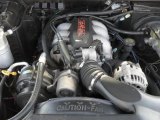 1994 Chevrolet S10 SS Regular Cab 4.3 Liter OHV 12-Valve V6 Engine