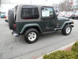2004 Shale Green Metallic Jeep Wrangler Sahara 4x4 #47539363