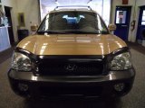 2002 Hyundai Santa Fe GLS AWD