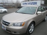 2007 Golden Beige Hyundai Sonata Limited V6 #47636269