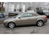 2008 Audi A4 Alpaka Beige Metallic
