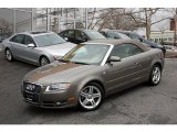 2008 Audi A4 Alpaka Beige Metallic