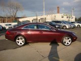 Bordeaux Red Metallic Mercedes-Benz CLS in 2006