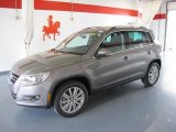 2011 Alpine Gray Metallic Volkswagen Tiguan SEL #47704646