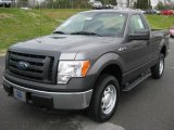 Sterling Grey Metallic Ford F150 in 2011