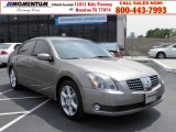 2006 Nissan Maxima 3.5 SE