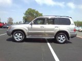 2004 Toyota Land Cruiser Thunder Cloud Metallic