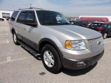 2004 Ford Expedition Silver Birch Metallic