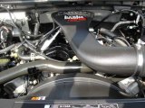 2006 Ford F150 FX4 Regular Cab 4x4 5.4 Liter SOHC 24-Valve Triton V8 Engine