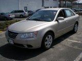 2010 Hyundai Sonata GLS