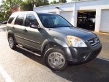 2006 Pewter Pearl Honda CR-V LX #47905643