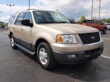 Pueblo Gold Metallic Ford Expedition in 2004