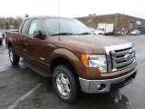 2011 Golden Bronze Metallic Ford F150 XLT SuperCab 4x4 #47905889