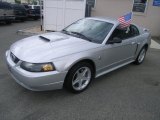 2004 Silver Metallic Ford Mustang GT Coupe #47906299