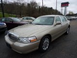 2010 Light French Silk Metallic Lincoln Town Car Signature Limited #47965881