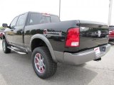 2011 Dodge Ram 2500 HD SLT Outdoorsman Crew Cab 4x4 Exterior