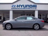 2011 Harbor Gray Metallic Hyundai Sonata SE 2.0T #48025441