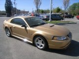 2000 Ford Mustang Sunburst Gold Metallic