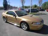 2000 ford mustang GT Coupe Data, Info and Specs