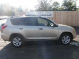 2007 Savannah Metallic Toyota RAV4 4WD #48026162