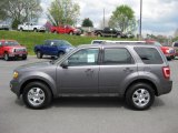 2011 Sterling Grey Metallic Ford Escape Limited V6 4WD #48099468