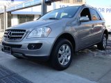 2006 Pewter Metallic Mercedes-Benz ML 350 4Matic #4792359