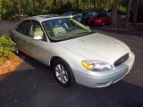 2007 Silver Frost Metallic Ford Taurus SEL #48099324