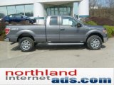 2011 Sterling Grey Metallic Ford F150 XLT SuperCab 4x4 #48099399