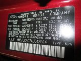 2010 Tucson Color Code for Garnet Red - Color Code: SAZ