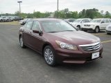 2011 Honda Accord Basque Red Pearl