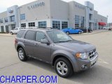 2010 Sterling Grey Metallic Ford Escape Limited V6 4WD #48167860