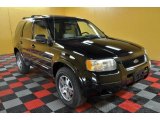 2003 Black Clearcoat Ford Escape Limited 4WD #48194171